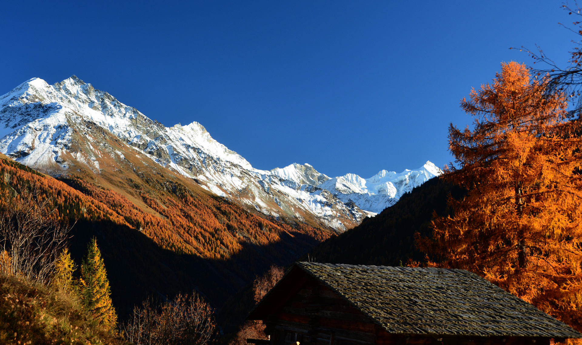 Merveilleuse lumière d'automne